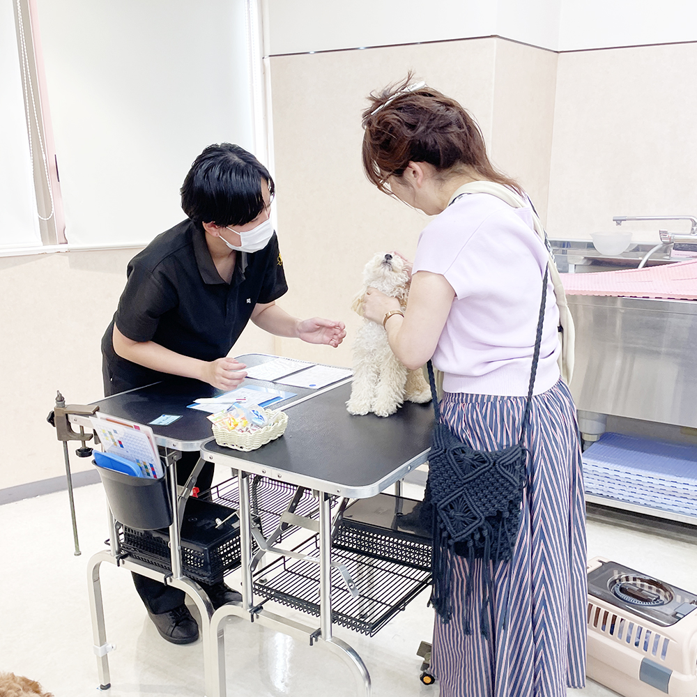 トリミングのお客様の接客実習♪